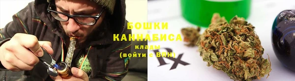 шишки Алексин
