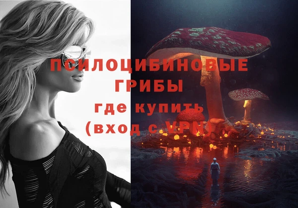 шишки Алексин
