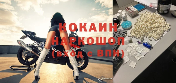 шишки Алексин