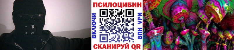 Галлюциногенные грибы Psilocybine cubensis  купить наркотики сайты  Цивильск 
